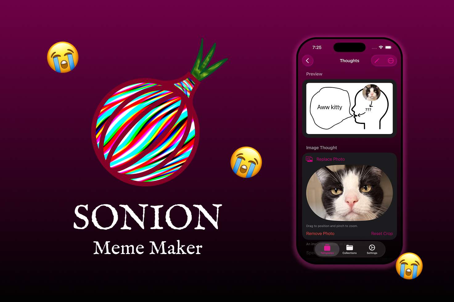 Sonion - Meme Maker